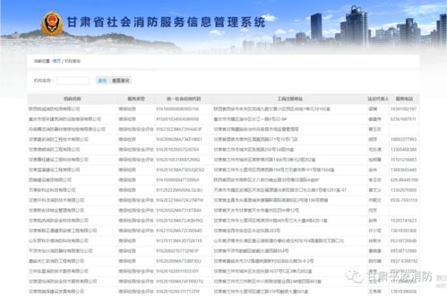 平?jīng)鱿?學(xué)黨史辦實(shí)事，手把手教你查詢消防技術(shù)服務(wù)機(jī)構(gòu)